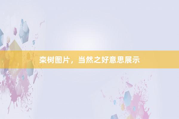 栾树图片,当然之好意思展示